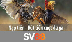 Đá gà SV88